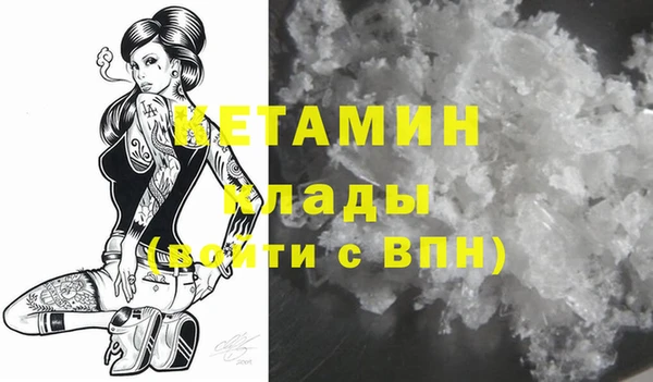стаф Коряжма